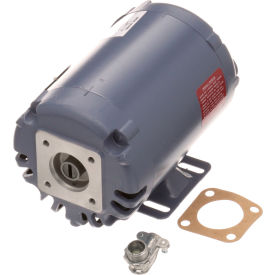 Allpoints 17A018 Allpoints 1031064 Motor, Pump (115V) For Ultrafryer image.