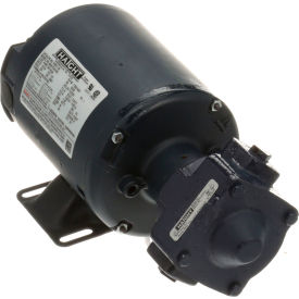 Allpoints 60130801 Allpoints 8005535 8Gpm Pump Assembly 1/3 HP 115/230 50/ Pmp image.