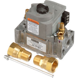 Allpoints 60113503-C Allpoints 541177 Gas Valve - Ce image.