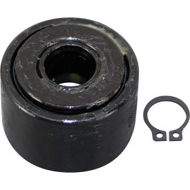 Allpoints 00-913119 Allpoints 8011768 Bearing Kit image.