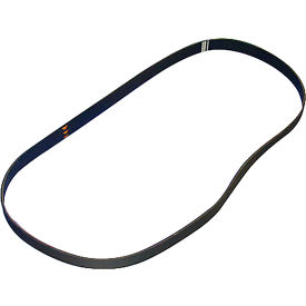 Allpoints 8009935 Saniserve Serpentinebelt