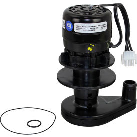 Allpoints 8252709 Allpoints 8010261 Water Pump - 230V-50/60Hz For Manitowoc Machines image.