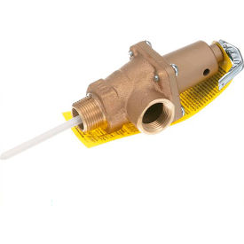 Allpoints 561031 Allpoints 56-1031 3/4" NPT Water Temperature and Pressure Relief Valve - 150 PSI, 210 °F image.