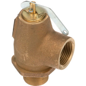 Allpoints 561349 Allpoints 56-1349 50 PSI Brass Steam Safety Relief Valve - 3/4" NPT, 805 lb./Hour image.