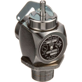 Allpoints 3-SRV8-1 Allpoints 1661179 Valve, Safety Relief, 3/4", 35Psi image.