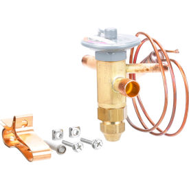 Allpoints 72261 Allpoints 8015505 Valve, Thermal Expansion For Structural Concepts image.