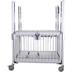NK Medical Infant ICU Standard Crib E2080CL 30"W x 44"L x 61"H Flat Deck Epoxy