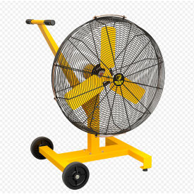 Big Ass Fans AirEye Directional Fan with Pedestal Mount/Low Rider Base 30""