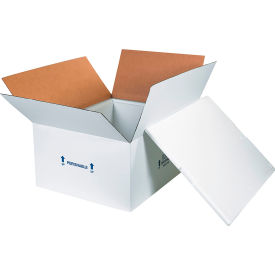 Box Packaging Inc 271C Foam Insulated Shipping Kit, 26"L x 19-3/4"W x 10-1/2"H, White image.