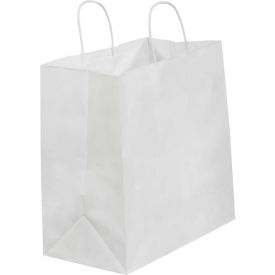 Global Industrial Paper Shopping Bags, 13