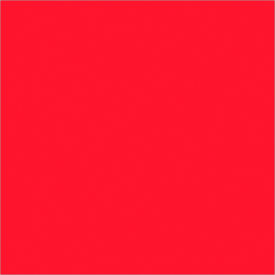 Rectangular Inventory Paper Labels, 4"L x 4"W, Fluorescent Red, Roll of 500 view 2