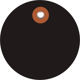 Plastic Circle Tag, 2" Dia., Black, 100/Pack view 2