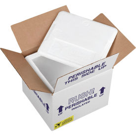 Insulated Shipper, 3/4" Foam Wall, 12"L x 9-3/4"W x 11"H, White view 2