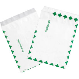 Box Packaging Inc TYF1013FC Tyvek® Self Seal Flat Envelopes, 10"W x 13"L, First Class, 100/Pack image.