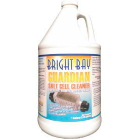 Bright Bay Products, Llc P3128CS Guardian Salt Cell Cleaner, Gallon Bottle 4/Case - P3128CS image.
