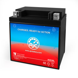 Battery Clerk LLC AJC-PS-AIX30L-500101 AJC® Arctic Cat Prowler 550 UTV Replacement Battery 2010-2015, 12V, B image.
