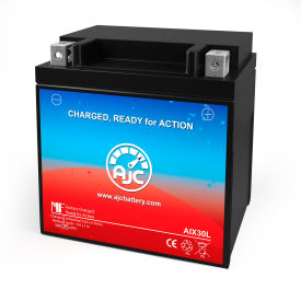 Battery Clerk LLC AJC-PS-AIX30L-510411 AJC® Arctic Cat Prowler 550 Utility Vehicle 550CC ATV Battery (2009-2013), 12V image.