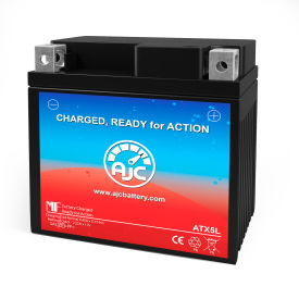 AJC PEUGEOT Vivacity 100CC Scooter and Moped Replacement Battery, 12V, B