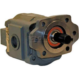 Buyers Products Co. H5036203 Hydrastar H50 Series Hydraulic Pump, H5036203, 2/4 Bolt, 2500 Max Pressure, 1" Keyed 1/4 KW Shaft image.