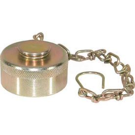 Buyers Wing Type Quick Detach Hydraulic Coupler Qddc161 1"" Npt Coupler Dust Cap W/Chain-Min Qty 4