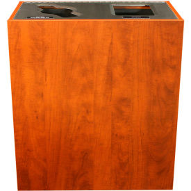 Busch Systems International Inc 100830 Busch Systems Aristata Double Recycling & Trash Can, 30 Gallon, Wooden image.