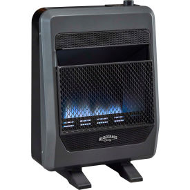 Bluegrass Living Natural Gas Vent Free Blue Flame Gas Space Heater w/Blower & Base Feet 20000 BTU