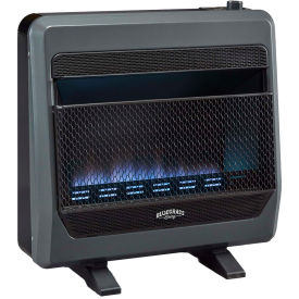 Bluegrass Living Natural Gas Vent Free Blue Flame Gas Space Heater w/Blower & Base Feet 30000 BTU