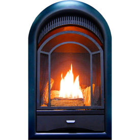 BLUEGRASS LIVING INC PCS150T ProCom Dual Fuel Ventless Gas Fireplace Insert, Arched Door, 15000 BTU, T-Stat Control image.