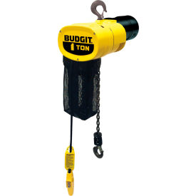 CM® Columbus McKinnon Budgit Electric Chain Hoists