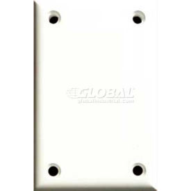 CORTECH USA TPBB Cortech USA, TPBB, High Security Single Blank Cover Plate, W/Hardware 1/Pack image.