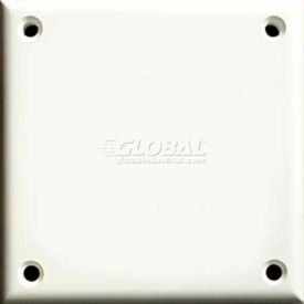 CORTECH USA TPDBB Cortech USA, TPDBB, High Security Double Blank Cover Plate, W/Hardware1/Pack image.