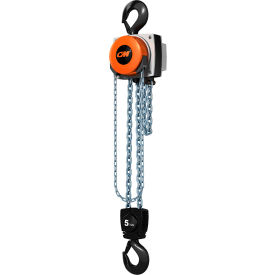 CM Hurricane 360° Hand Chain Hoist 5 Ton 10 Ft. Lift