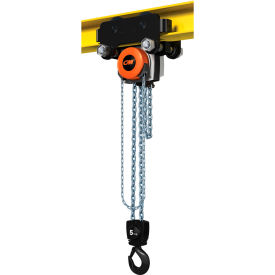 CM Hurricane 360° Hoist & Trolley Combo Standard 5 Ton Capacity 10' LIft