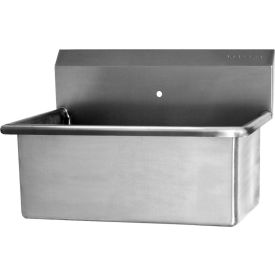 Sani-Lav 5310 Sani-Lav® 5310 Wall Mount Scrub Sink With One 0.875" Hole Only image.