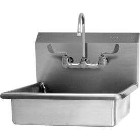 Sani-Lav 5A4F-0.5 Sani-Lav® 5A4F-0.5 Wall Mount Sink With Low-Flow Faucet image.