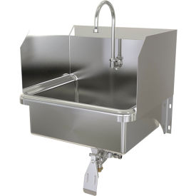 Wall Mount Sink with Single Knee Pedal Valve, Flow Rate 0.5 GPM view 2