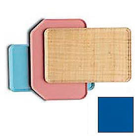 Cambro 3046123 - Camtray 30 x 46cm Metric, Amazon Blue - Pkg Qty 12 Cambro 3046123 - Camtray 30 x 46cm Metric, Amazon Blue - Pkg Qty 12