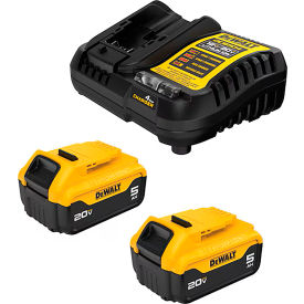 DeWalt® DCB205-2C 20V MAX Starter Kit W/ (2-Pack) 5.0Ah Batteries