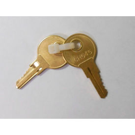 Replacement Keys For DOGVALETS & CH545 Junior Dispenser, Pack of 2 view 2