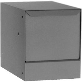 Dvault Company DVWM0062S-2 dVault Thru-Wall Package Drop with Tilt-Out Door VWM0062S - Gray image.