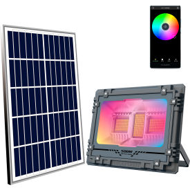 E E SYSTEMS GROUP INC EE-AW500C Eleding® Solar Powered Outdoor Integrated RGB LED Flood Light, 16W, 2100LM image.