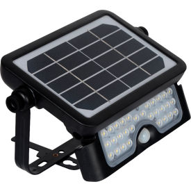 E E SYSTEMS GROUP INC EE-LD-SFL-5W Eleding® 160 Degree PIR Activated Outdoor Integrated LED 5-in-1 Flood Light, 5W, 700 LM image.