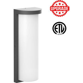 eSenLite® Indoor/Outdoor Wall Sconce Light Fixture 22W 2640 Lumens Black 