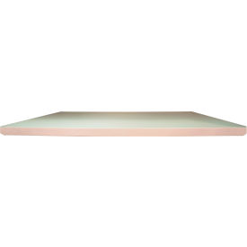 Commercial Cabinet Shelf, 20 Gauge, 48"W x 24"D, Putty view 2