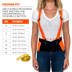 Ergodyne 11883 Ergodyne® ProFlex® 100 Economy Hi-Vis Back Support, Orange, Medium image.