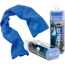 Ergodyne Chill-Its 6602 Cooling Towel, Blue, One Size