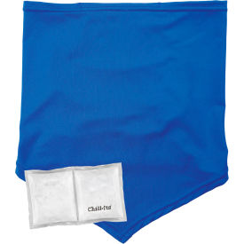 Ergodyne 42136 Ergodyne® Chill-Its® 6482 Cooling Neck Gaiter Bandana w/ Pocket, L/XL, Blue image.
