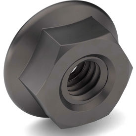 Hex Flange Nuts