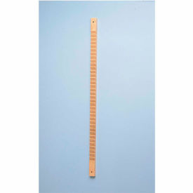 Fabrication Enterprises Inc 10-1160 Wall-Mounted Shoulder Finger Ladder - Wood, 36 Steps image.
