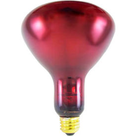 Fabrication Enterprises Inc 18-1372 Infra-Red 175 Watt Ruby Replacement Bulb, 1 Each image.